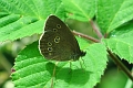 04 07 15_5809_edited-1